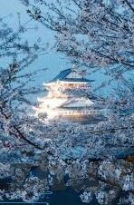 91制片厂果冻传媒-91制片厂与果冻传媒，数字时代的文化交汇与内容创新