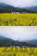久久精品麻豆视频-探索当代互联网文化的多元化视野，久久精品麻豆视频的社会现象剖析