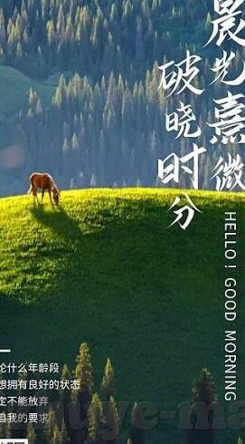 九一视频果冻传媒-九一视频与果冻传媒，数字时代的娱乐新视界