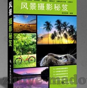 麻豆传媒女成员介绍-麻豆传媒，探寻女成员的多元魅力