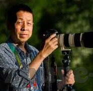 麻豆传媒作品下载-从灰色阴影中走出，麻豆传媒作品的深思与启示