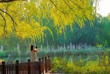 温泉凌辱人妻-温泉里的秘密，一场不该发生的邂逅